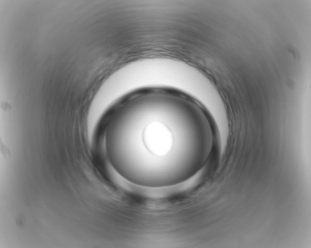 X0000091340272200708101449