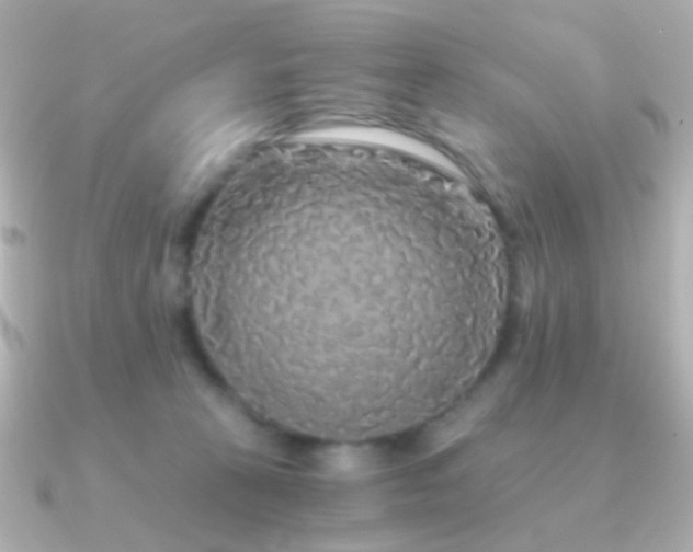 X0000091340273200708101449