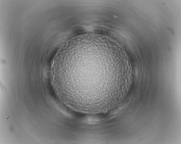 X0000091340275200708101449