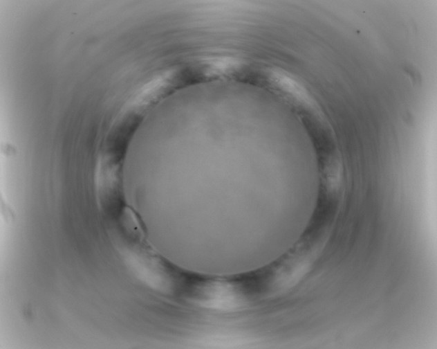 X0000091340276200708101449