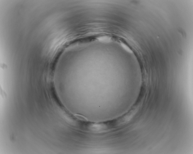 X0000091340277200708101449