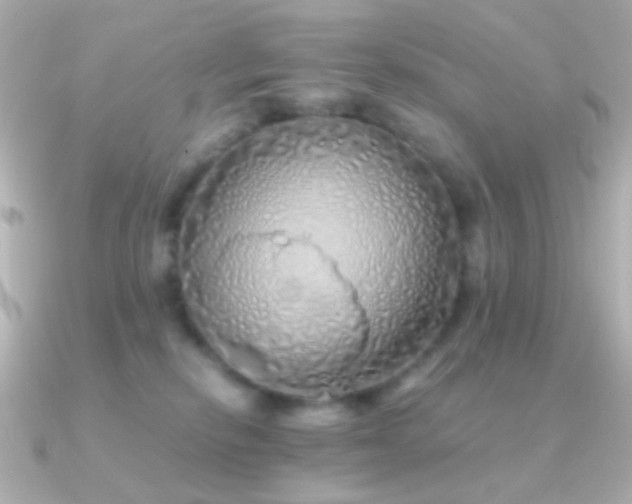 X0000091340278200708101449