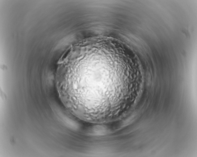 X0000091340279200708101449