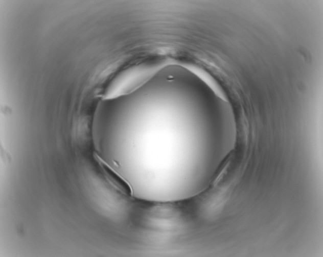 X0000091340280200708101449