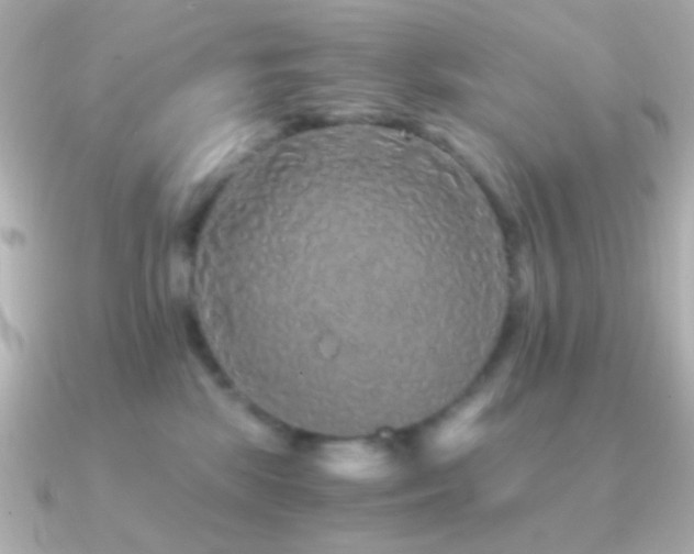 X0000091340281200708101449