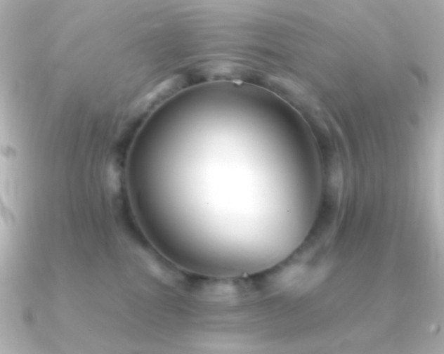 X0000091340282200708101449