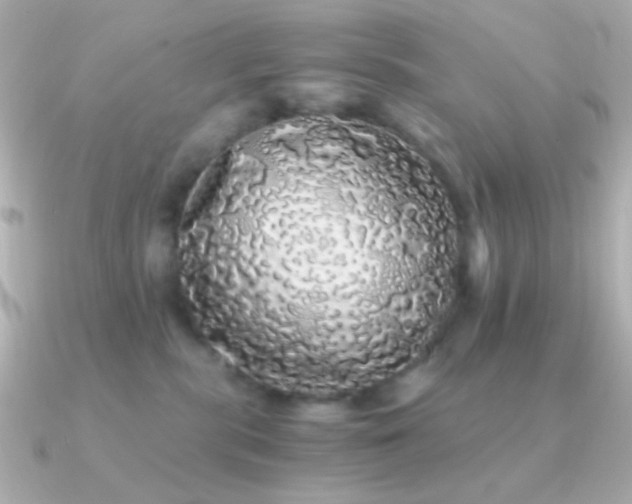 X0000091340283200708101449