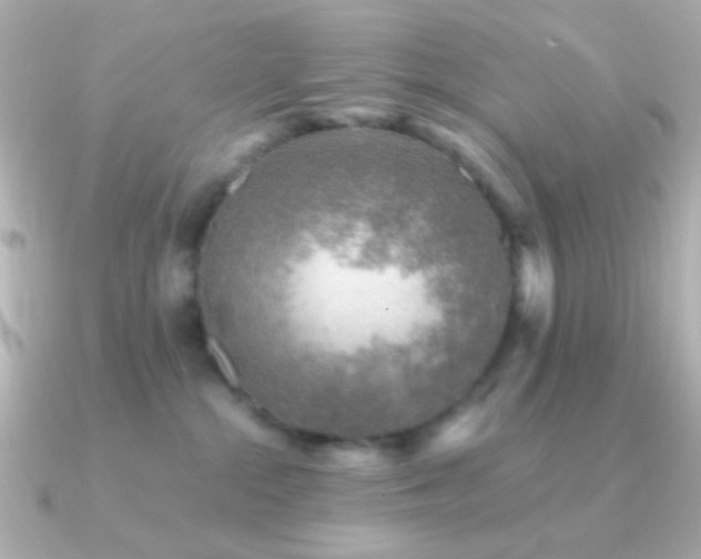 X0000091340284200708101449