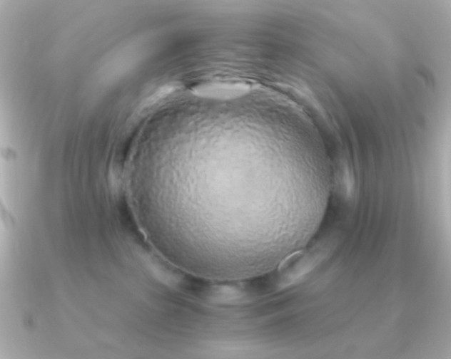 X0000091340285200708101449