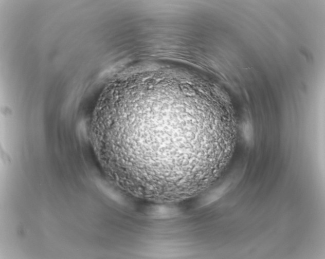 X0000091340286200708101449