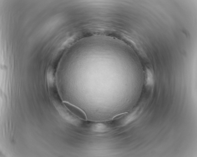X0000091340287200708101449
