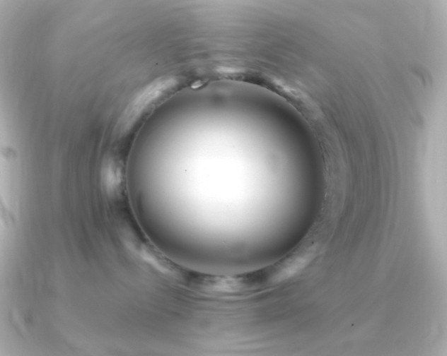 X0000091340288200708101449