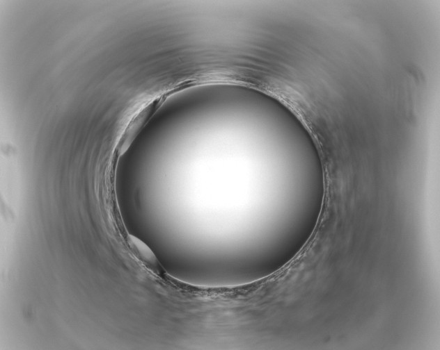 X0000091340289200708101448