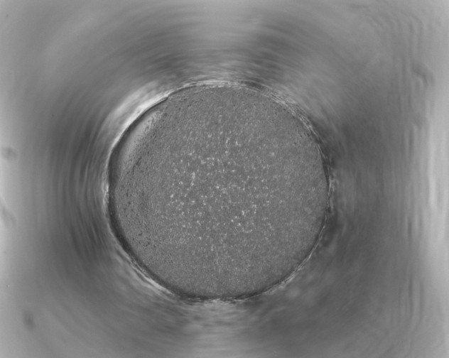 X0000091340290200708101448