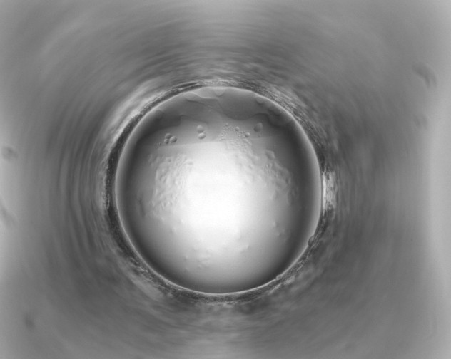 X0000091340291200708101448