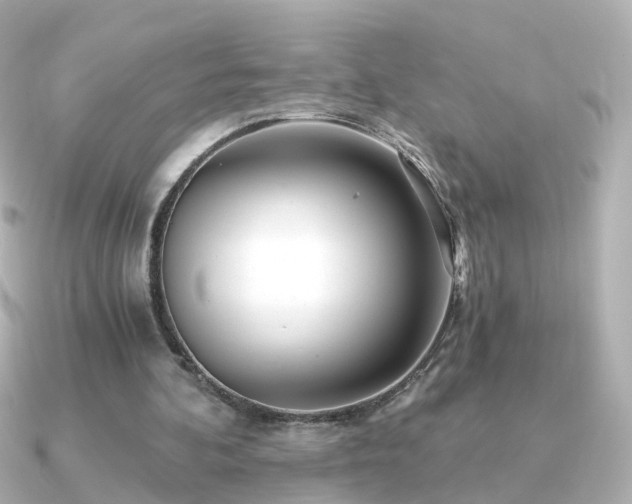 X0000091340292200708101448