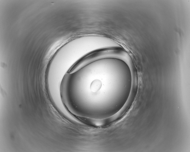 X0000091340293200708101448