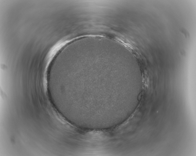 X0000091340294200708101448