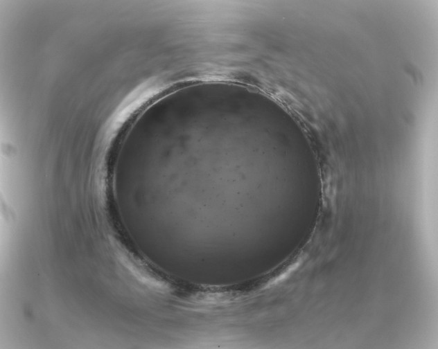 X0000091340295200708101448