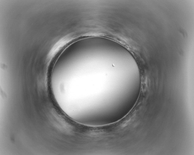 X0000091340296200708101448