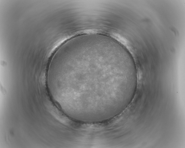 X0000091340297200708101448