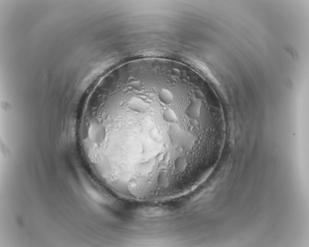 X0000091340299200708101448