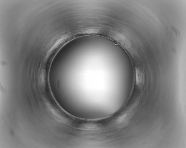 X0000091340300200708101448