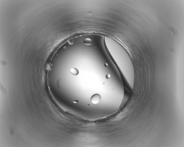 X0000091340301200708101448