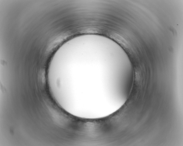 X0000091340302200708101448