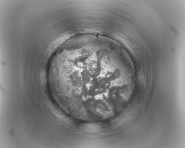 X0000091340303200708101448