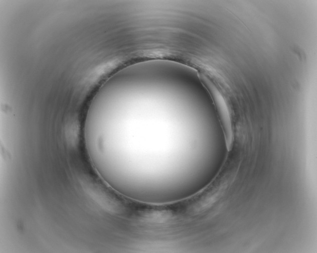 X0000091340304200708101448