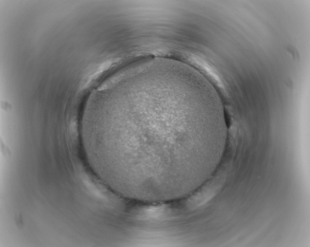 X0000091340306200708101448