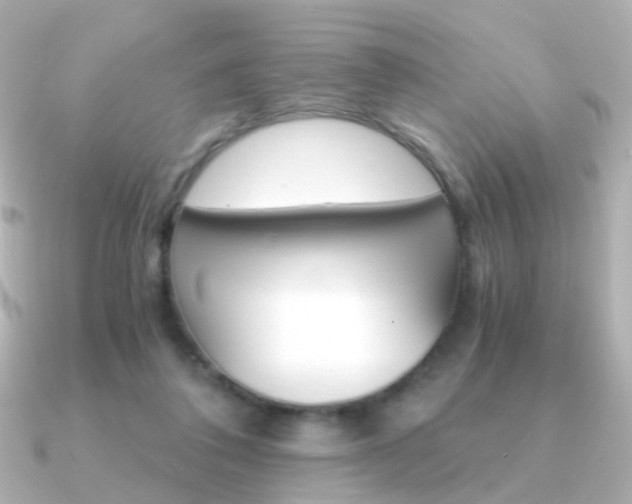 X0000091340308200708101448
