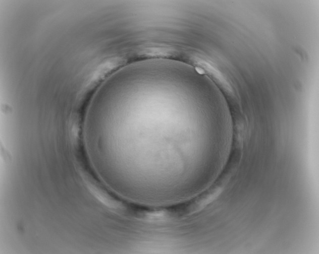 X0000091340309200708101448