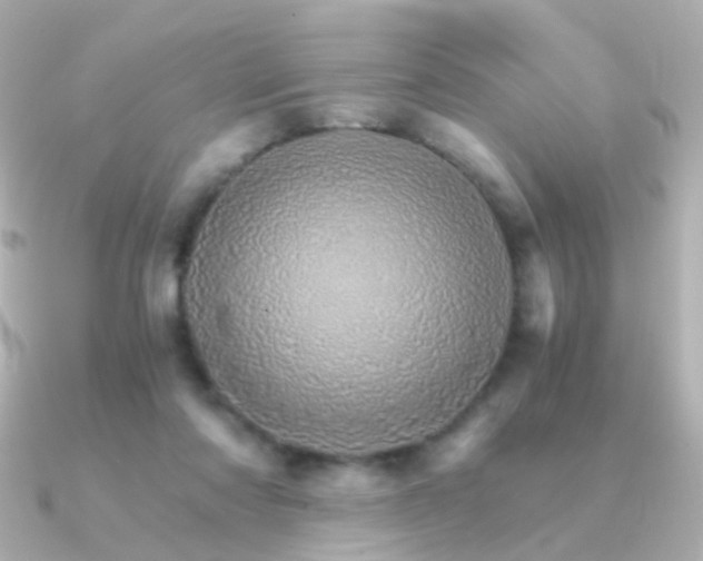 X0000091340310200708101448