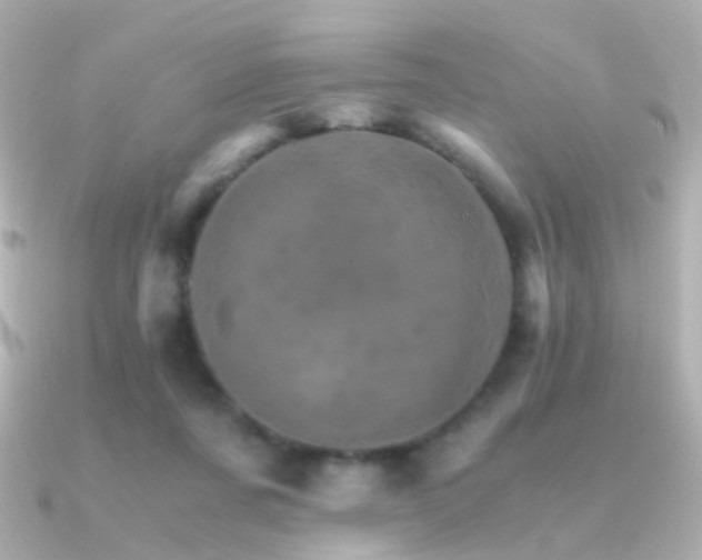 X0000091340311200708101448