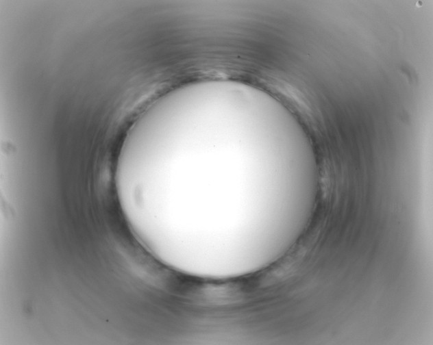 X0000091340314200708101448