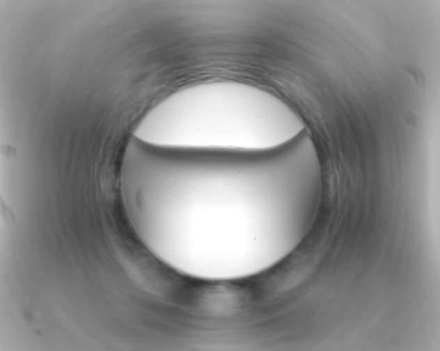 X0000091340316200708101448