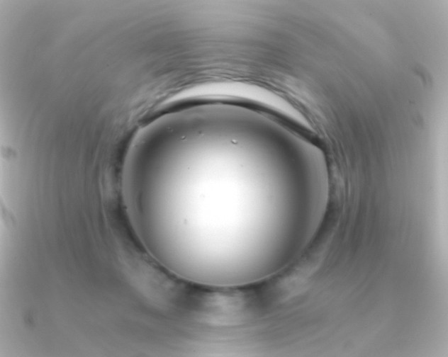 X0000091340317200708101448