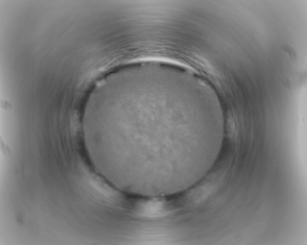 X0000091340318200708101448