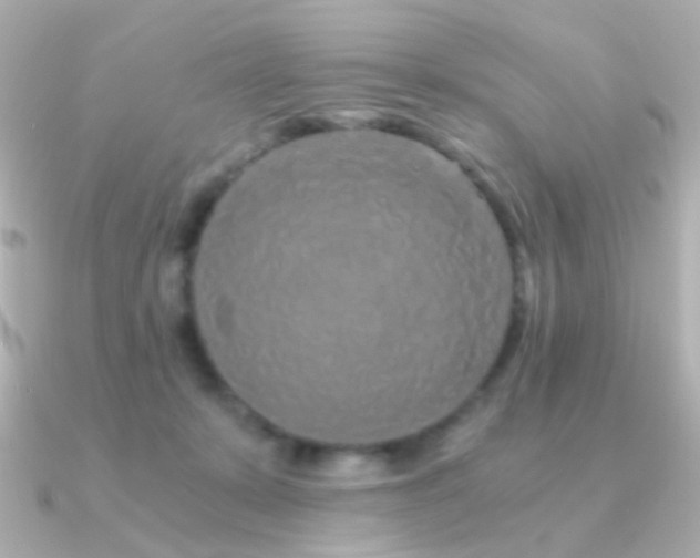 X0000091340319200708101448