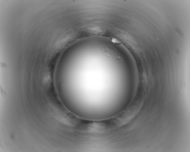 X0000091340320200708101448