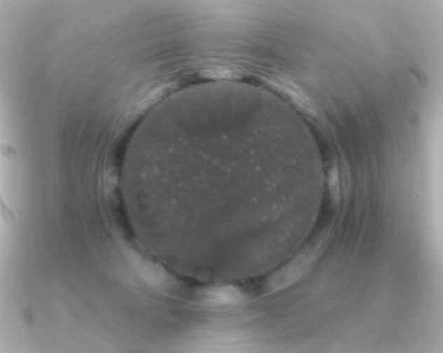 X0000091340322200708101448
