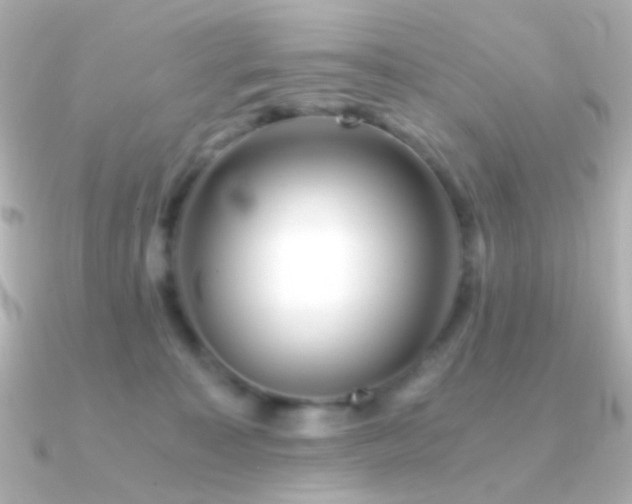 X0000091340323200708101448