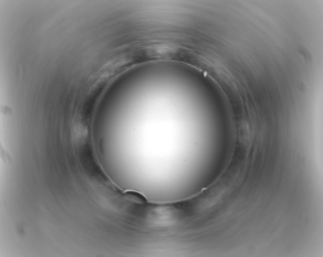 X0000091340324200708101448