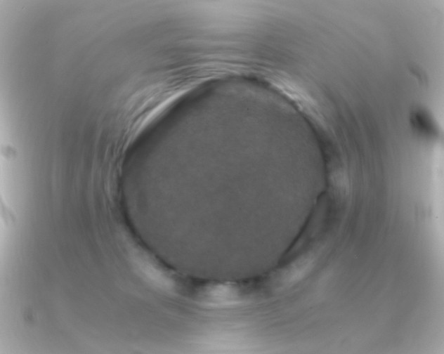 X0000091340325200708101448