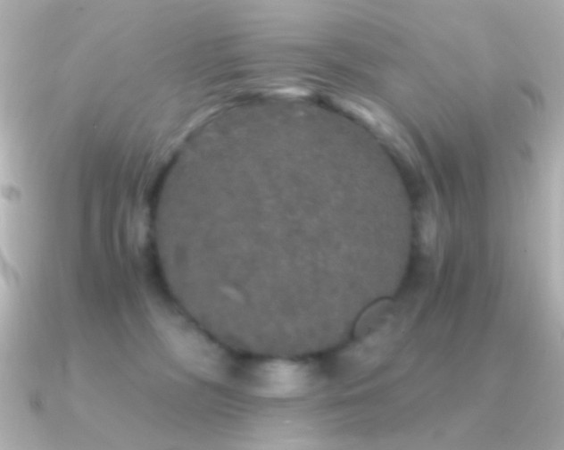 X0000091340326200708101448