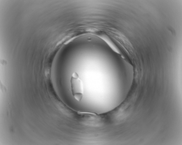 X0000091340329200708101448