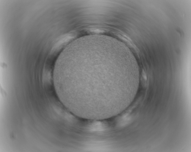 X0000091340330200708101448