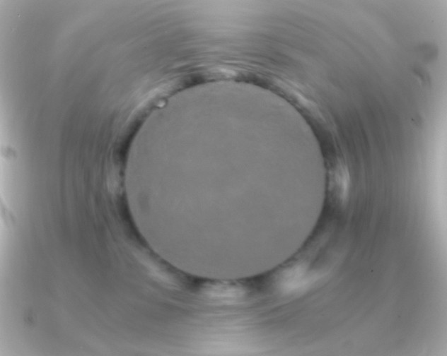 X0000091340331200708101448